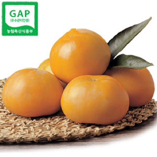 [저탄소, GAP인증] 감고을 아삭단감 5kg(30과,25과)