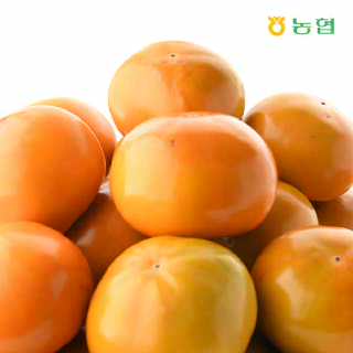 [경남진영농협]토박이 진영단감 5kg(2S-2L 옵션선택)
