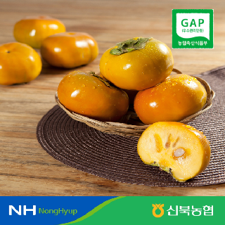 [신북농협 Peak!] 영암 황토 GAP 5입 포트 부유단감 3줄~5줄