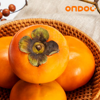 [온도씨] 달콤한 국내산 단감 대과 1.5kg (6과내외)