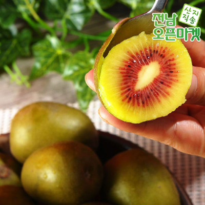 고흥 레드키위 2kg