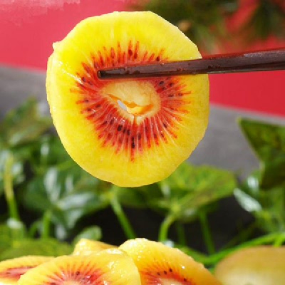 고흥 레드키위 2kg