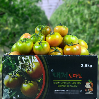 [산지직송]부산 대저토마토 짭짤이토마토 2.5kg