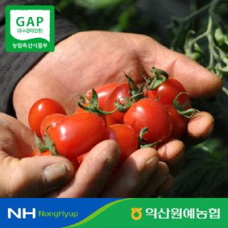 [익산원예농협] 직접선별 신선한 국내산 대추 방울 토마토 로얄과 2kg