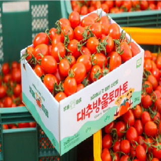 [방울따옴] 당일수확 GAP인증 대추방울토마토 1.5kg (750gx2팩)