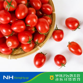 [부여군농협] 굿뜨래 대추방울토마토 로얄과 2kg(1~3번과)