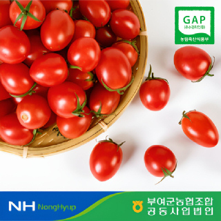 [부여군농협] 굿뜨래 대추방울토마토 2kg (1~3번과, 로얄과)