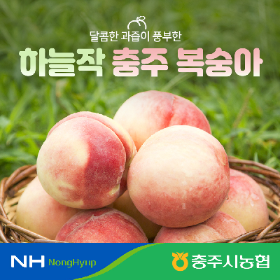 [충주시농협] 충주 하늘작 부드러운 복숭아 2.5kg(7~11과)