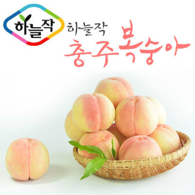 [충주시농협] 충주 하늘작 부드러운 복숭아 2.5kg(7~11과)