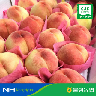 [불정농협]충북 정감복숭아 3kg 10-12과내#중대과#황도 쫀득이