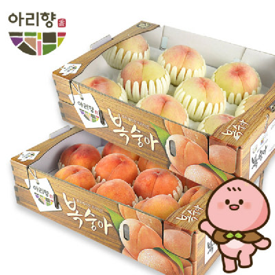 [충북농협장터] 아리향 부드러운 복숭아 3kg(8-13과)