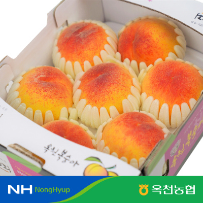 8/6(수)릴레이특가_옥천 향수 30리 부드러운 복숭아 1.8kg 5-8내