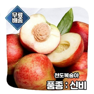 [6/23 이후출고] 2주만 맛볼 수 있는 경산 데일리 신비복숭아 2kg 16-20입