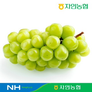 [경산자인농협] 고당도 하우스 샤인머스켓 2kg(2-3수) GAP인증 저탄소인증