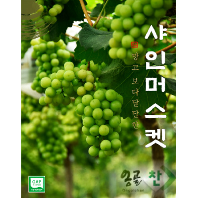 경산 용성농협 샤인머스켓 1.6kg(특품/당도선별, 2~4송이)