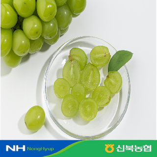 [농할가11,470원][신북농협 Pick!]가정용 하우스 고당도 샤인머스켓 1kg/1.5kg/2kg