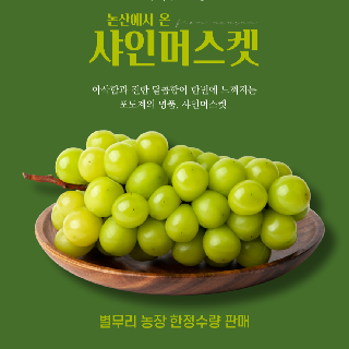 [별무리농장]새벽 직접딴 논산 25년도 출하 고당도 국산 샤인머스켓 2kg