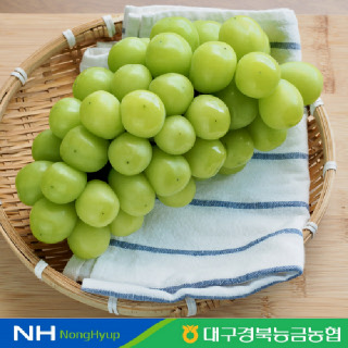 [저탄소인증] 경북 영천 프리미엄 샤인머스켓 1.5kg(2~3수)