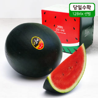 [장보남]당도선별 고당도 수박 씨 적은 흑미 흑수박 4-6kg 정품