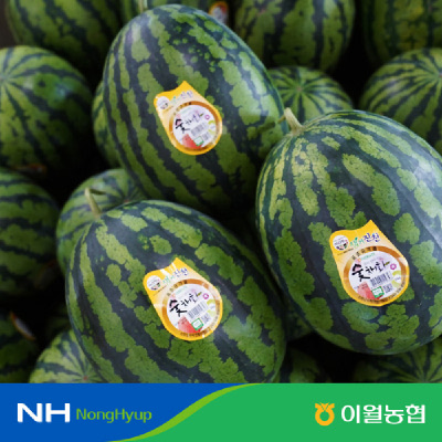 [이월농협] 충북 숯채화수박 고당도수박 꿀수박 8~9kg