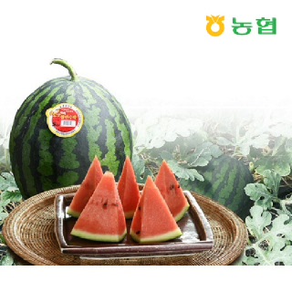 [함안군농협]당도선별 10brix이상 함안꿀수박 8kg-8.9kg