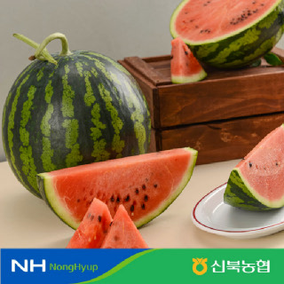 [신북농협 Pickl!]고당도 하우스 제철 꿀 수박(가정용/정품) 4kg 5kg 7kg