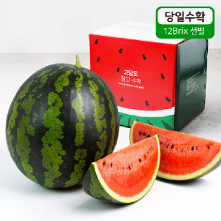 [장보남]당일수확 가정용 유명산지 고당도 수박 갈증해소 최고봉 꿀수박4-6kg