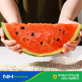 [NH카드혜택가17,480원][부여군농협] 굿뜨래 부여 수박 6kg(6.0~6.9kg)