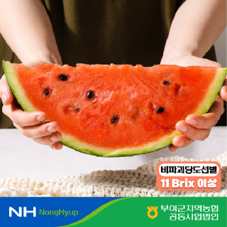 [NH카드16,940원][부여군농협] 굿뜨래 부여 수박 6kg(6.0~6.9kg)