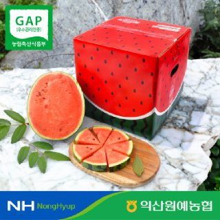 [익산원예농협] GAP인증 프리미엄 고당도 하우스 제철 꿀 수박 4kg 5kg 6kg 7kg