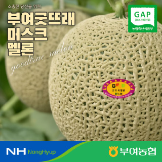[13brix이상] 부여 굿뜨래 멜론 8kg 내외(3,4,5,6수)