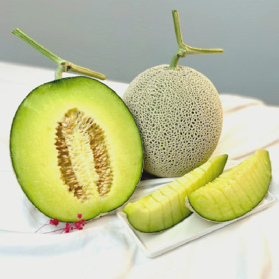 [GAP인증] 탑마루 머스크 멜론 3.2kg/4kg