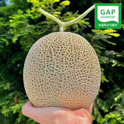 [GAP인증] 탑마루 머스크 멜론 3.2kg/4kg