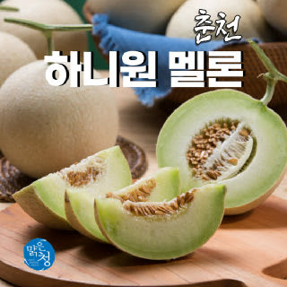 춘천 하니원 멜론 4kg 3~4수