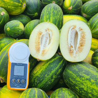 경북 고령 성산면 제철과일 메론 파파야 멜론 2kg~5kg