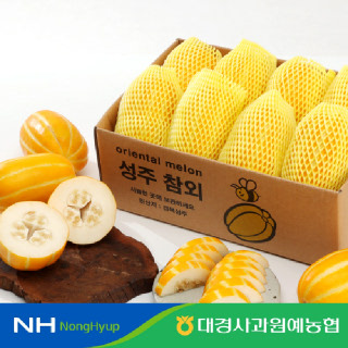 [산지직송]성주 참외 2.5kg/5kg 정품 구성