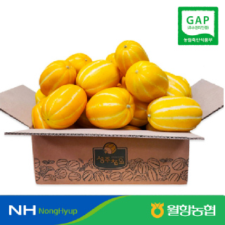[경북농협/월항농협] 성주 꿀참외 2kg 3kg 5kg 당도선별 가정용