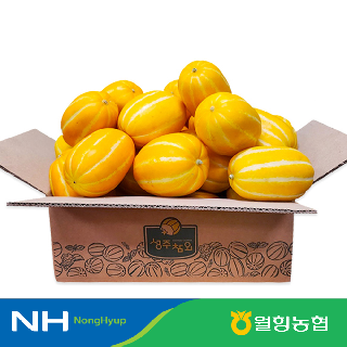 [경북농협/월항농협] 성주 월항 꿀참외 가정용 (2kg/3kg/5kg)