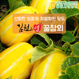 김천농협 달콤아삭 꿀참외 2kg(특품/5-6과) 