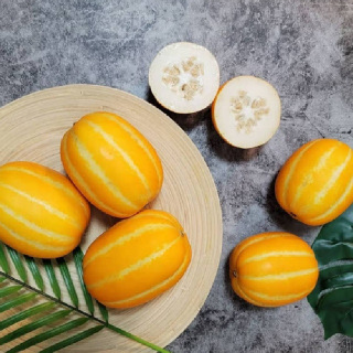경북 성주 벌꿀 참외 가정용 (1.2kg~10kg)
