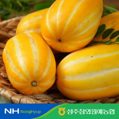 [성주참외원예농협] 참외풍경 가정용 못난이 성주참외 3kg(7-11과) GAP인증