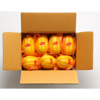 [성주참외원예농협] 참외풍경 가정용 못난이 성주참외 3kg(7-11과) GAP인증