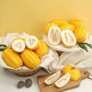 아삭달콤 성주 참외 가정용 1kg 2.5kg 4.5kg