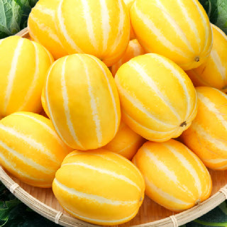 맛좋은 성주 꿀 참외 1.5kg(소/중/대)