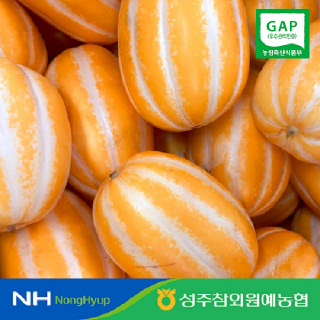 [성주참외원예농협] 참외풍경 가정용 못난이 성주참외 5kg(11-18과) GAP인증