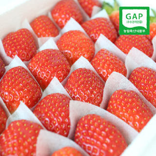 [생산자직송] 충북옥천 신홍석님의 GAP 생딸기(설향/특품) 1kg