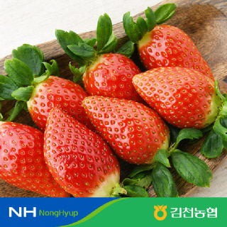 김천농협 새콤달콤 김천 설향 딸기 800g이상