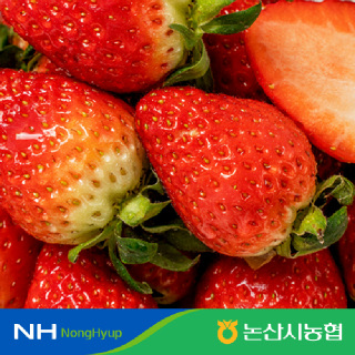 [논산시농협]★특가★논산 설향딸기 특품 400g(12-15과) 800g(24-30과)