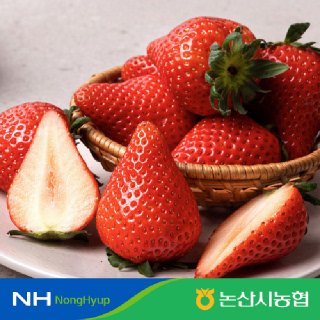 [논산시농협] 논산 비타베리딸기 800g 특품 24-30과
