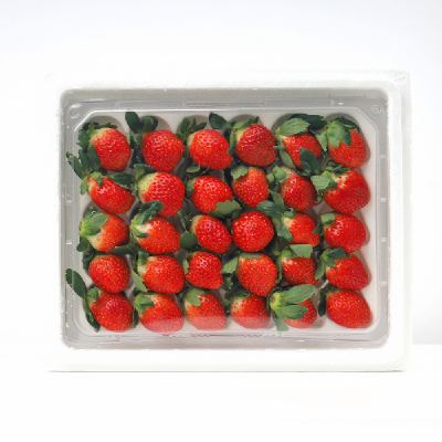 [장보남]당도선별 유명산지 논산 딸기 GAP 설향딸기 생딸기(350g / 700g)